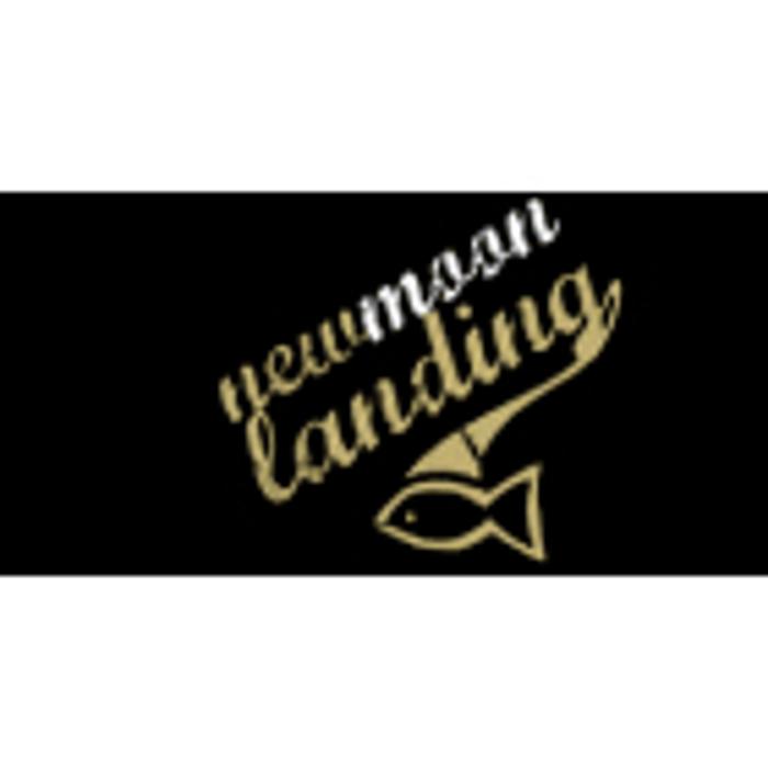 New Moon Landing