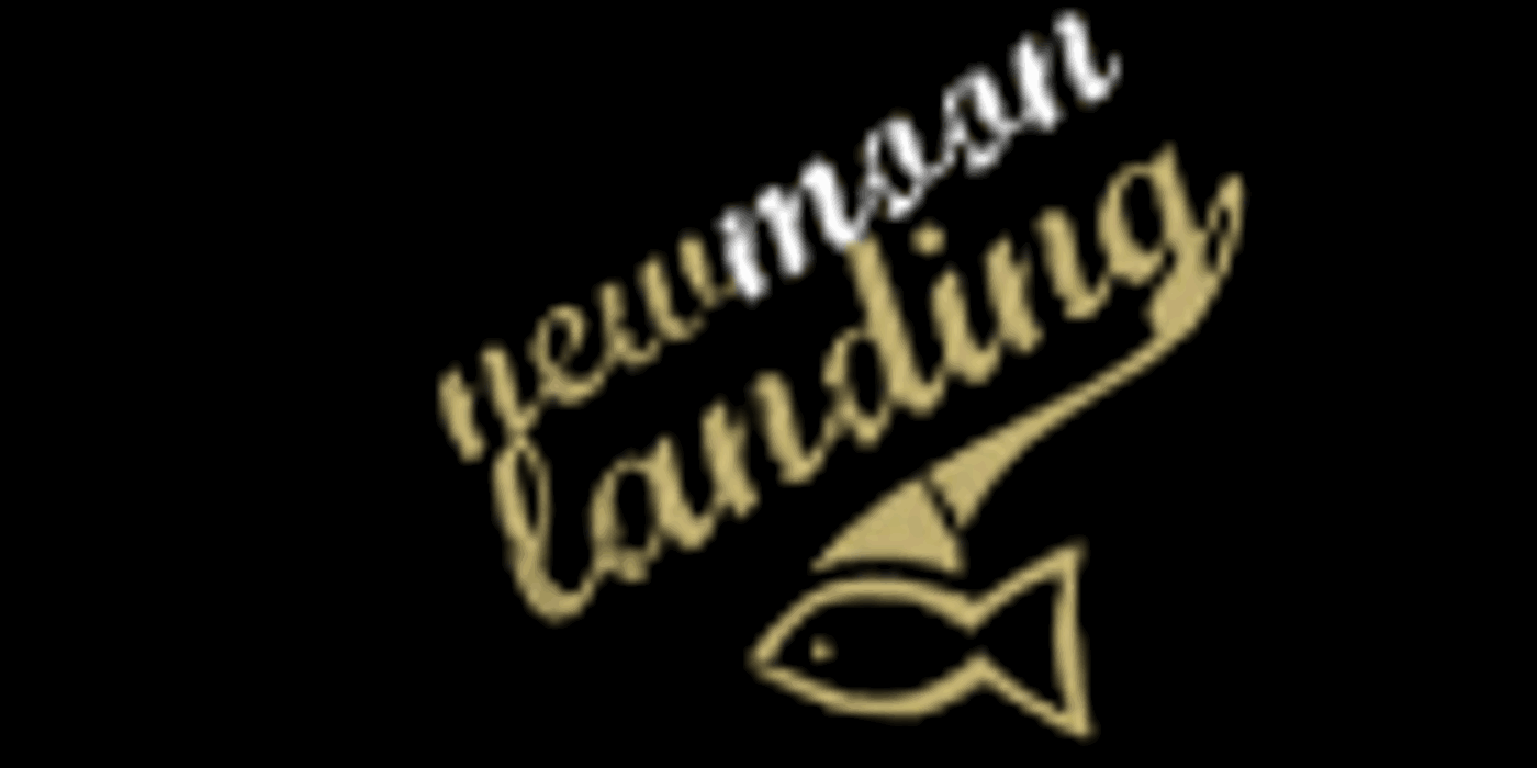 New Moon Landing