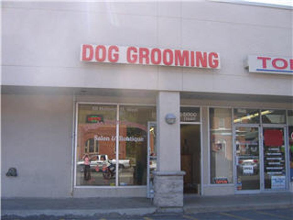 Doggie Styles Grooming Salon & Boutique