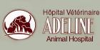 Adeline Animal Hospital Moncton (506)854-9201