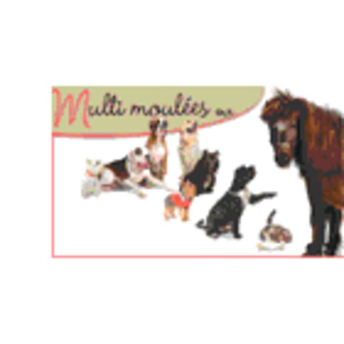 Multi Moulées Enr