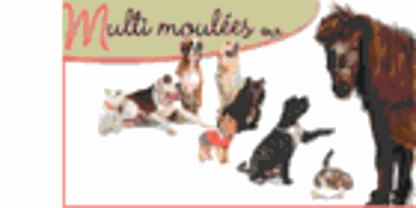 Multi Moulées Enr