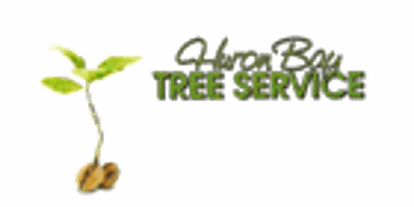 Huron Bay Tree Service