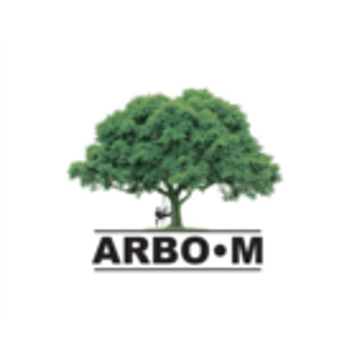 ARBO M - Service d'arbres - Essouchage, Émondage et Abattage