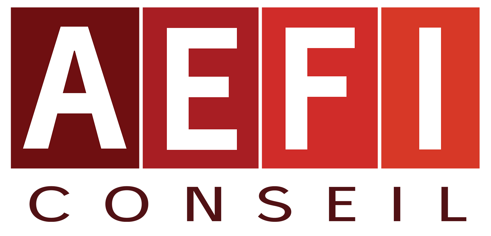 AEFI CONSEIL, Assurances