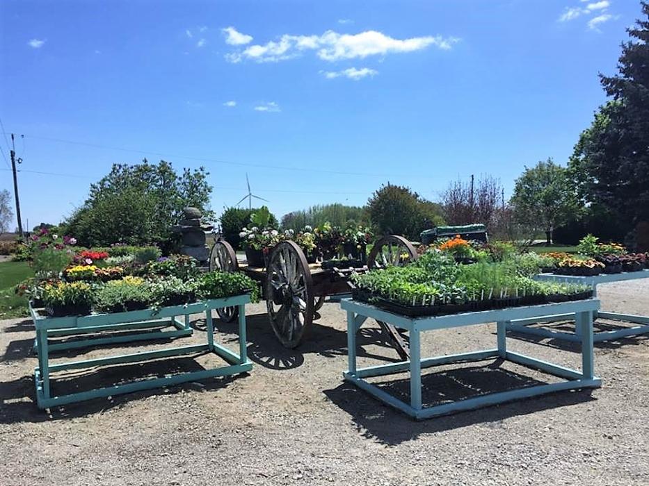 Green Street Landscaping