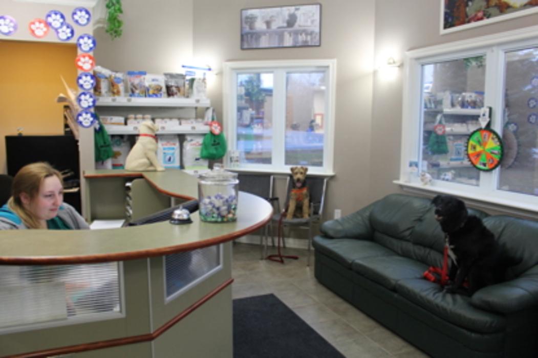 Shannondale Pet Hospital