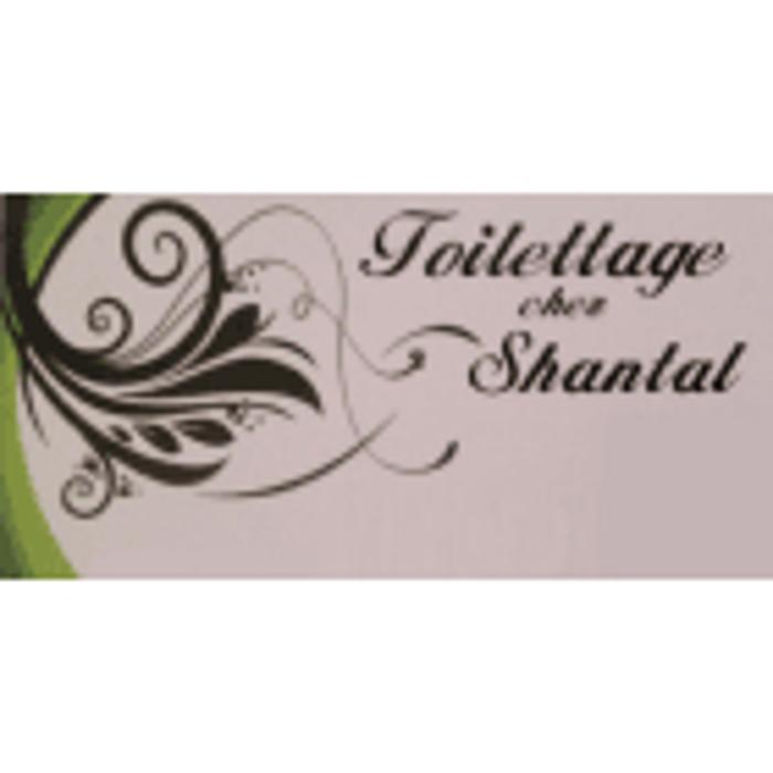 Toilettage Chez Shantal