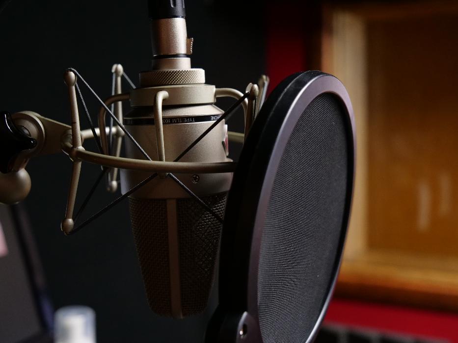 ROC Vox Recording & Production, LLC. - Pittsford, NY