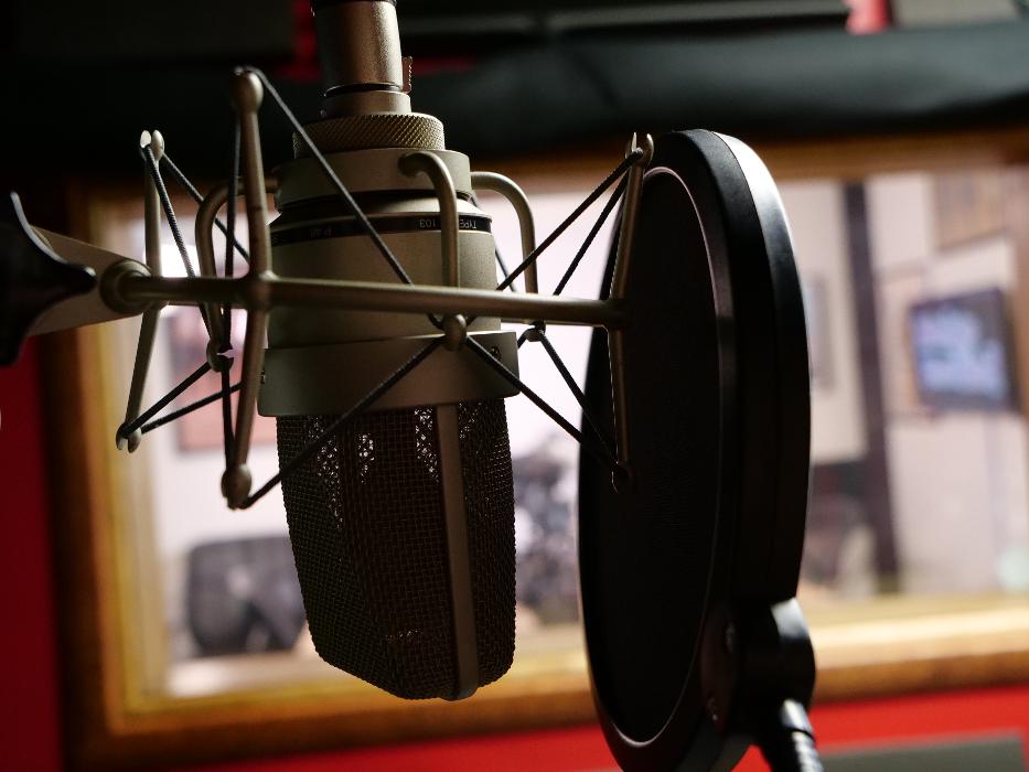 ROC Vox Recording & Production, LLC. - Pittsford, NY