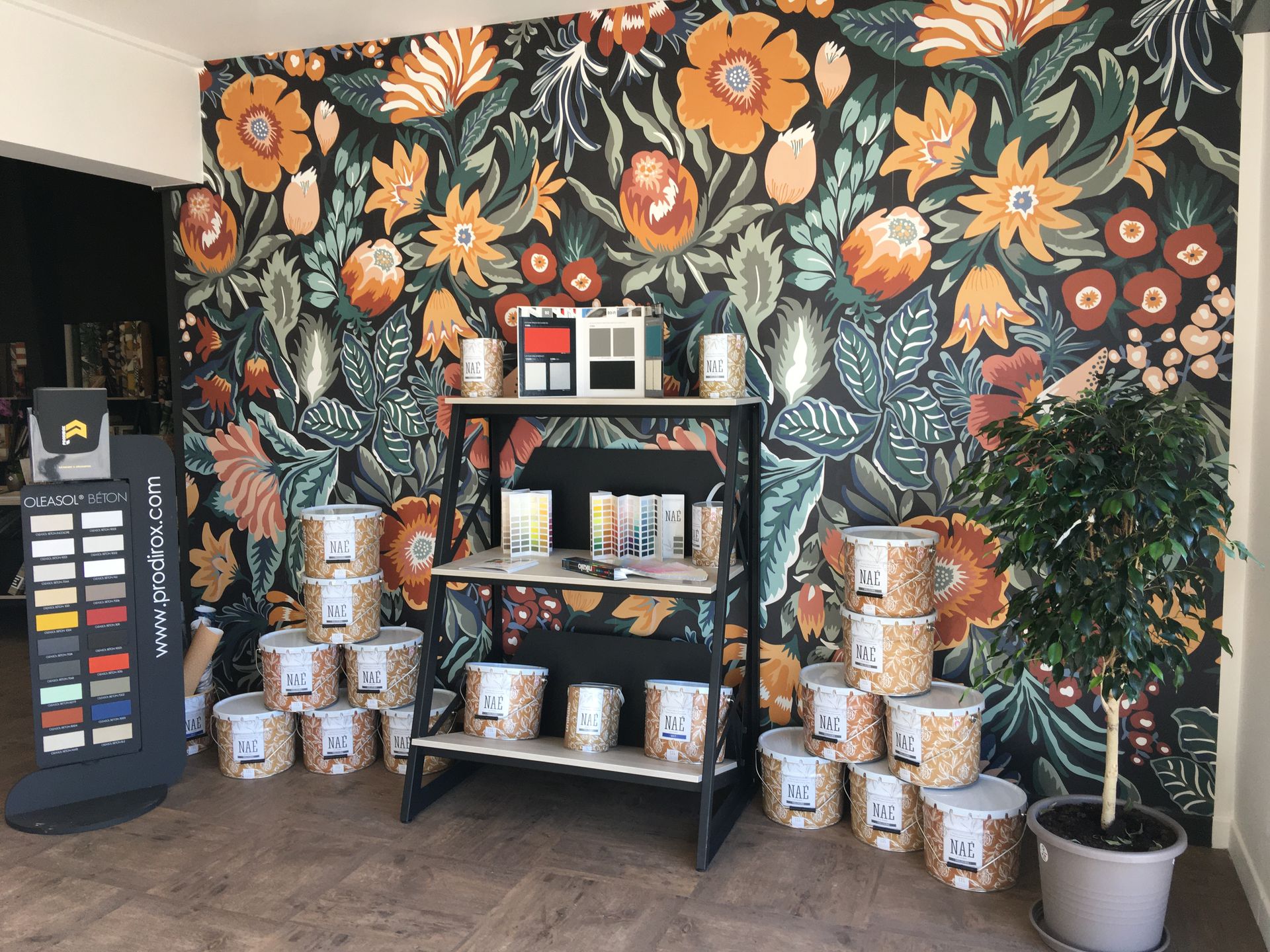 galerie image