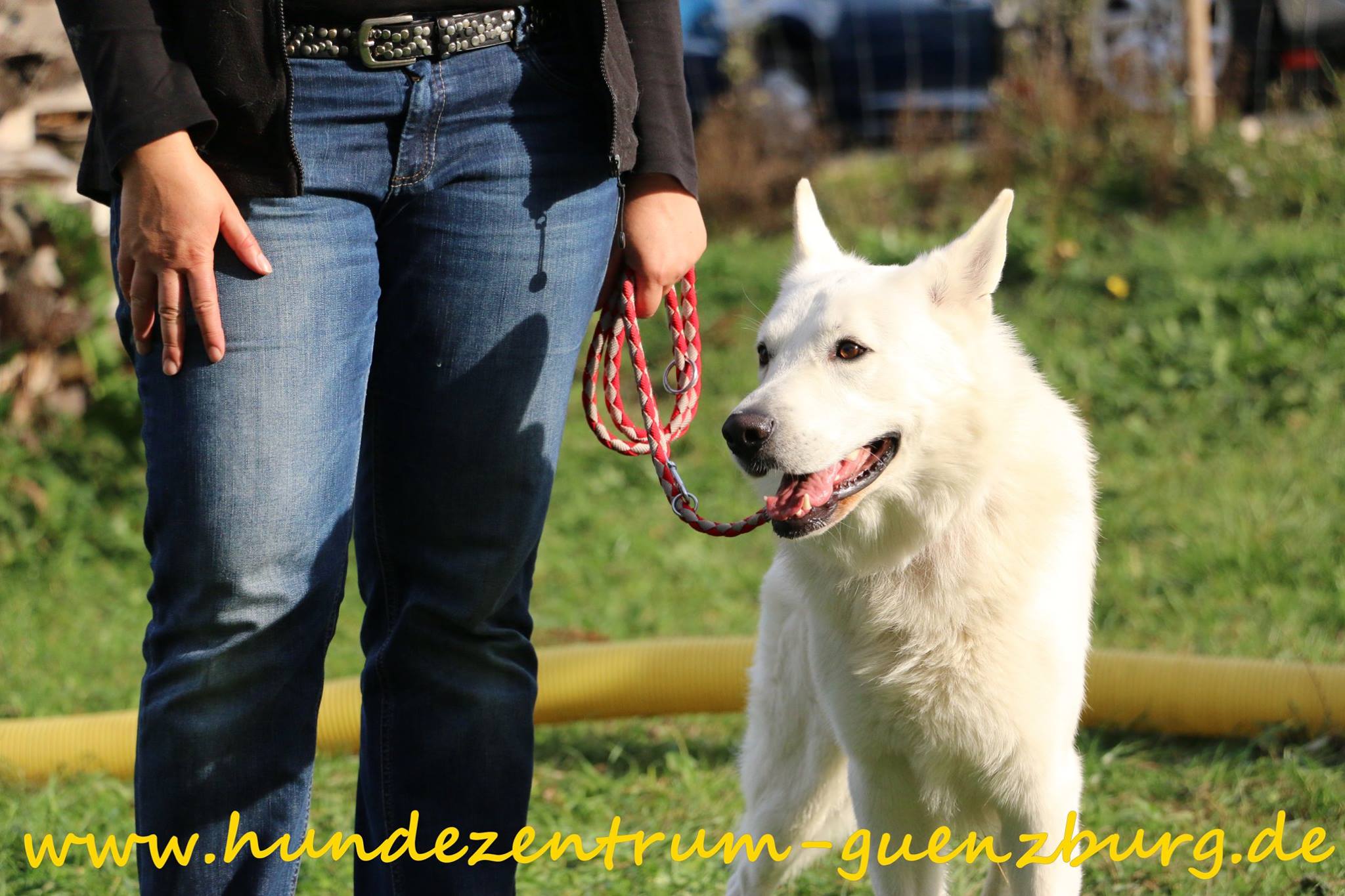 Galerie-Thumbnail