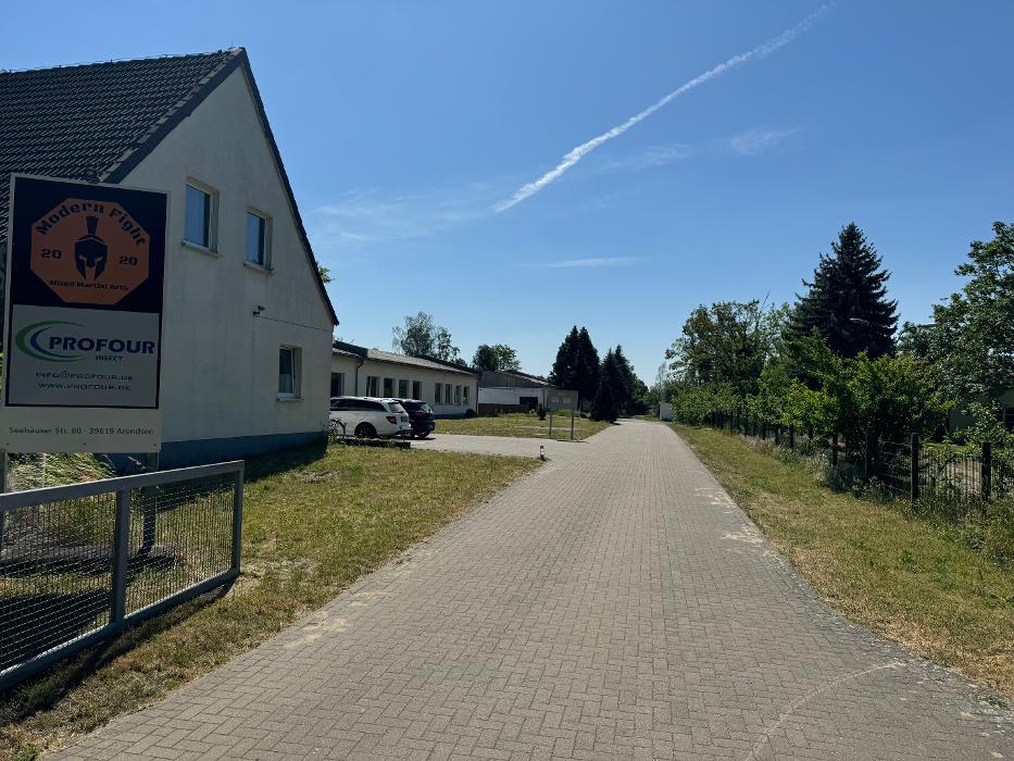 Modern Fight Arendsee, Seehäuser Straße in Arendsee (Altmark)