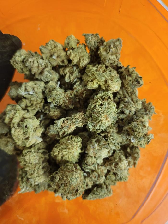 Dancing Budz - Pryor, OK