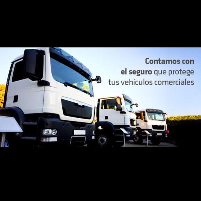 Quality Auto Insurance Services - La Habra, CA
