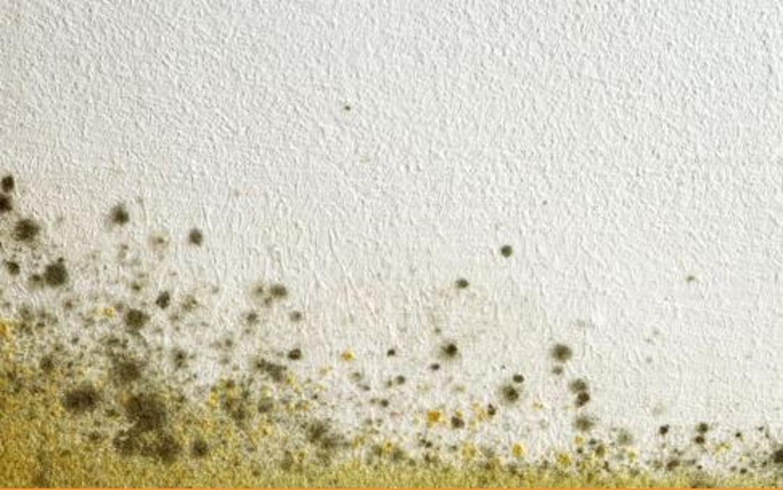 Table Rock Property Inspections - Blue Eye, MO