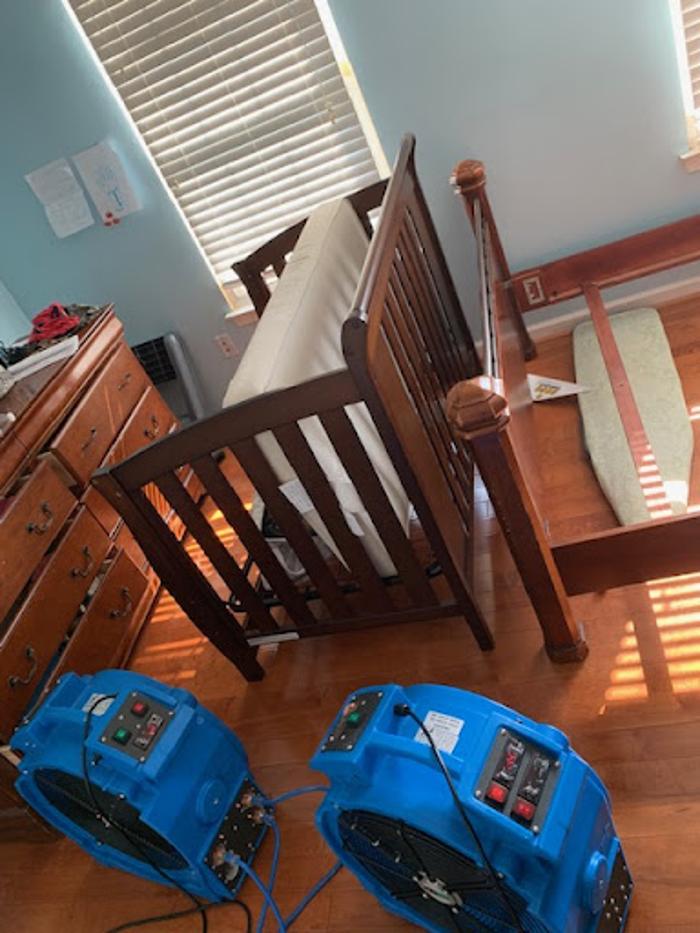 Eco Bed Bug Grand Strand - North Myrtle Beach, SC