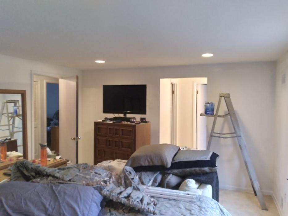In The Details Painting - Wixom, MI