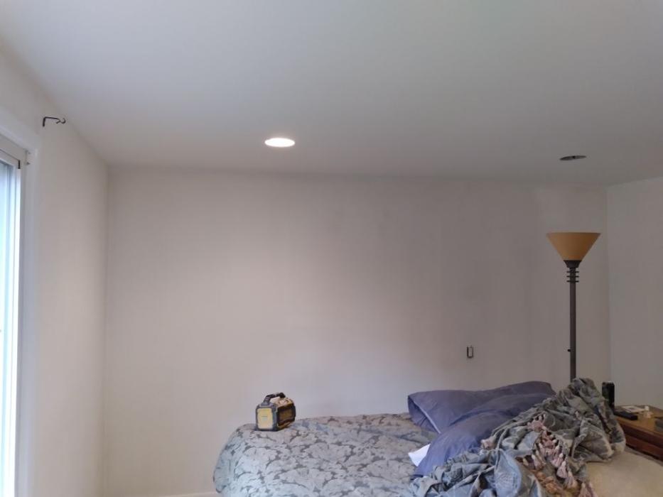 In The Details Painting - Wixom, MI
