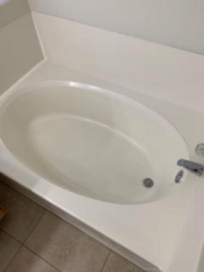 Desert Clover Cleaning, LLC - Buckeye, AZ