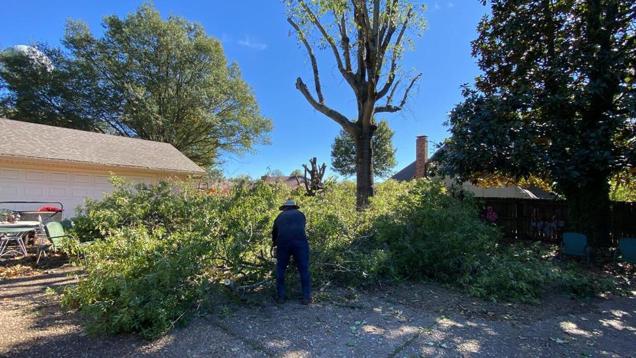 JC Tree & Stump LLC - Fort Smith, AR