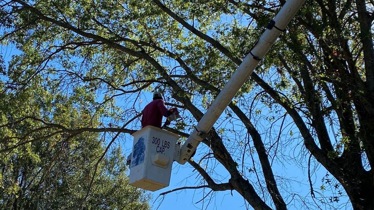 JC Tree & Stump LLC - Fort Smith, AR