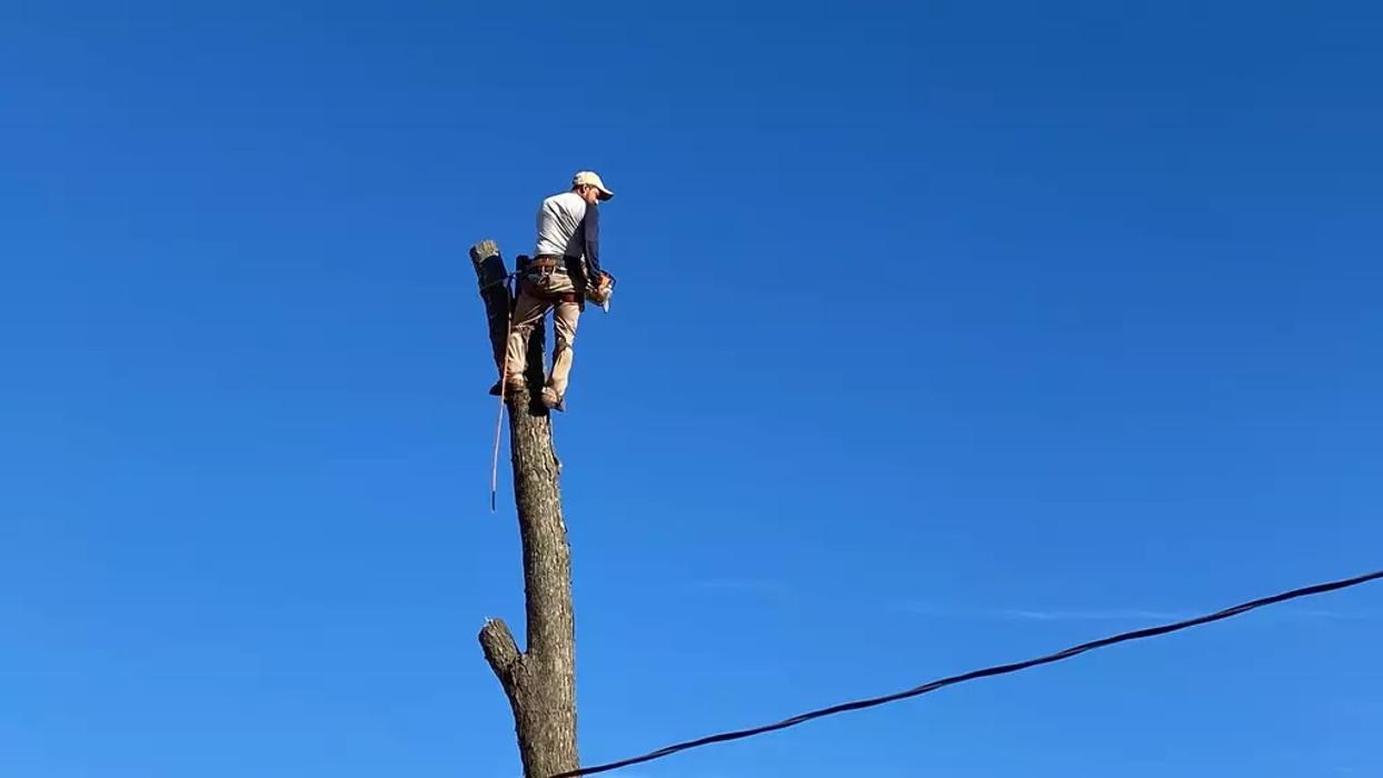 JC Tree & Stump LLC - Fort Smith, AR