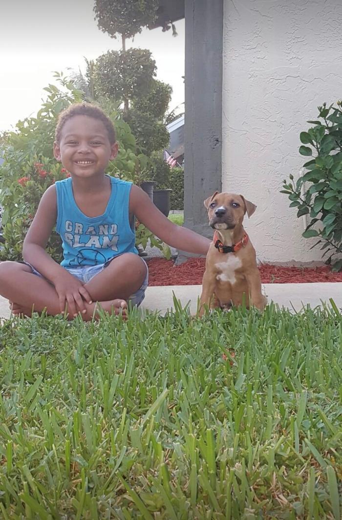 Pawtopia Boarding and Daycare LLC - Homestead, FL