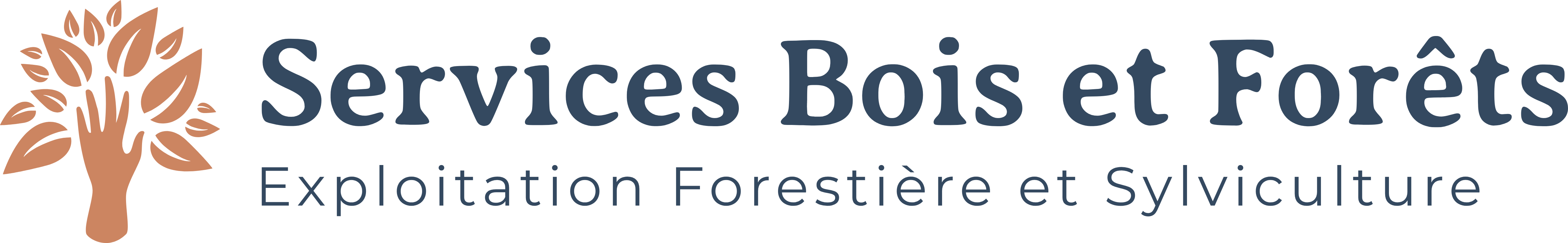Services Bois et Forêts Expert