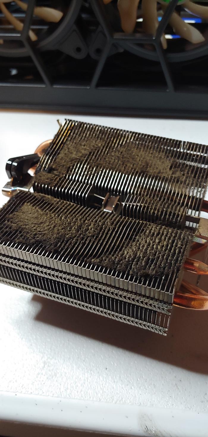 Who's Your Data? Image