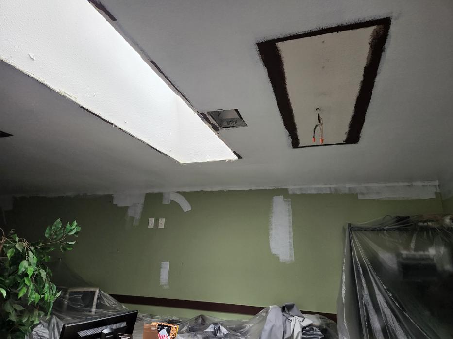 Who's Your Data? Image