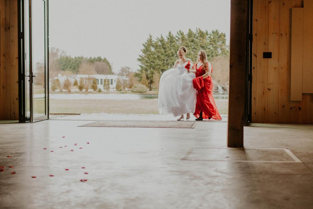 Limetree Photo - Dover, DE