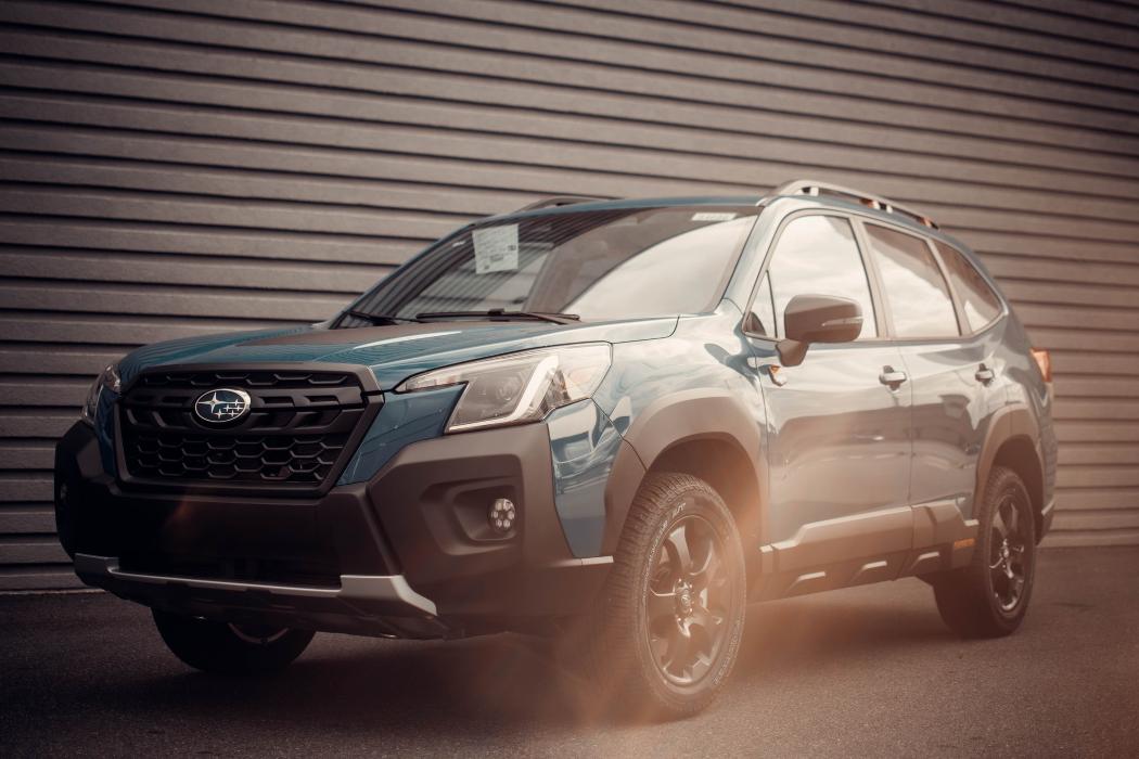 Limetree Photo - Dover, DE