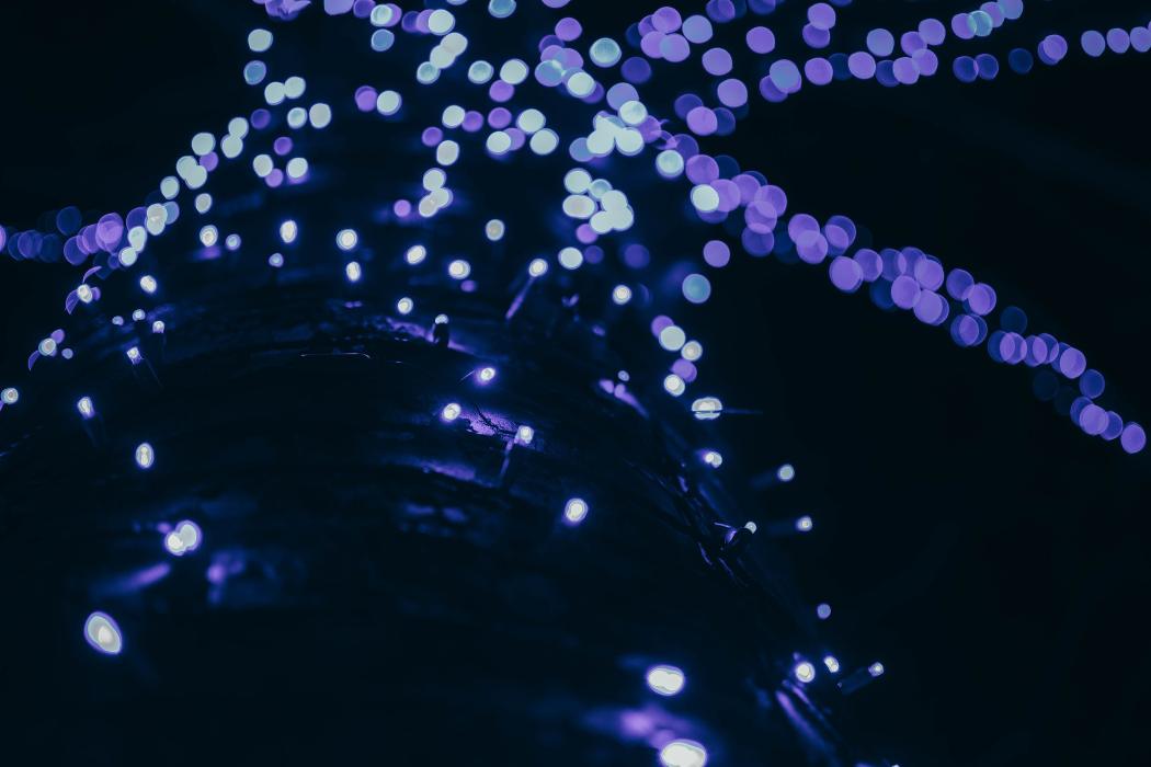 Limetree Photo - Dover, DE