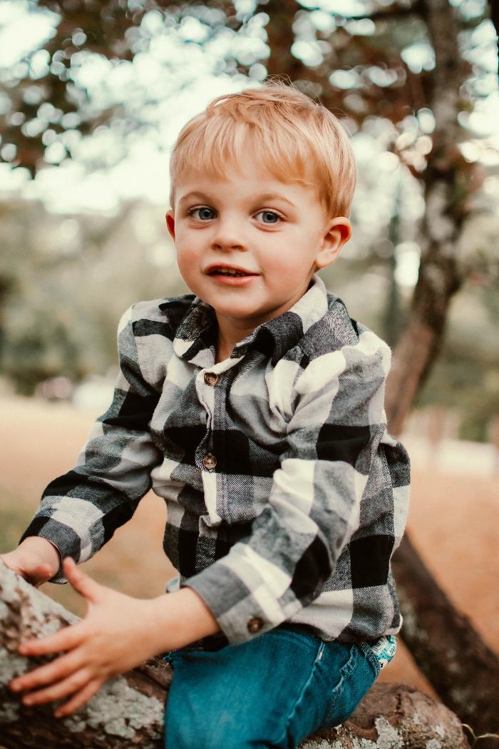 Limetree Photo - Dover, DE