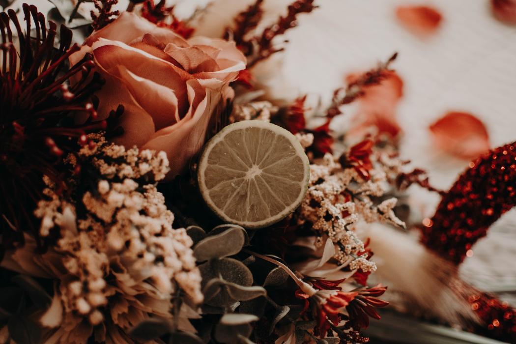 Limetree Photo - Dover, DE