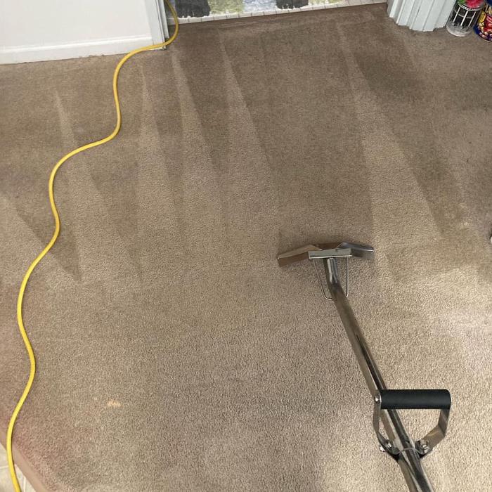 GYT Cleaning Services - Commerce Township, MI