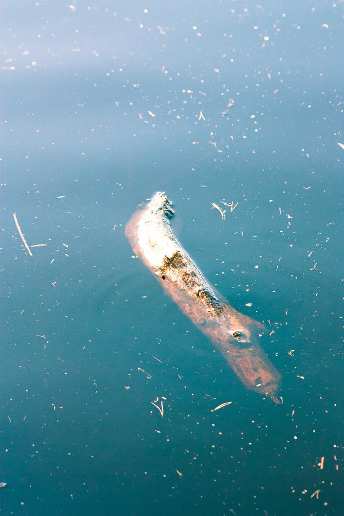 Nicole Bräutigam - Studio für Grafikdesign Wiesbaden und nachhaltiges Design in Wiesbaden