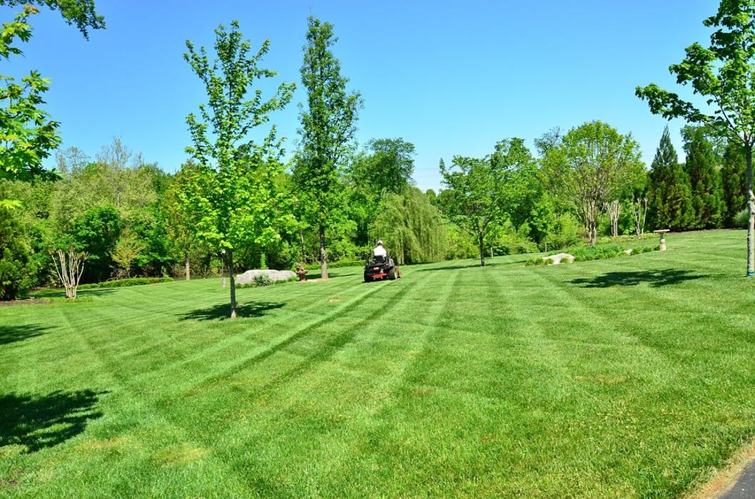 A3 Lawncare - South Bend, IN