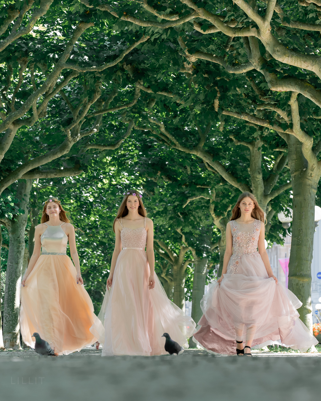 Fotos - Jadranka Kovacic - 5