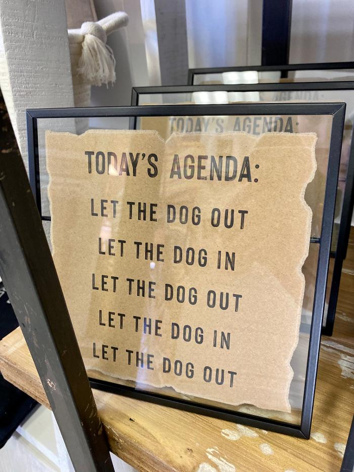 Willow Poppy - Newburgh, IN