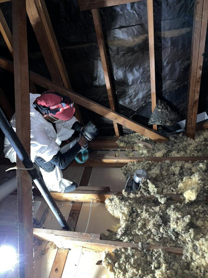 D&B Rodent Proofing - Palo Alto, CA