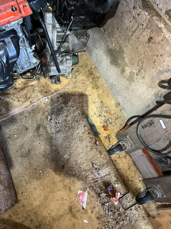 D&B Rodent Proofing - Palo Alto, CA