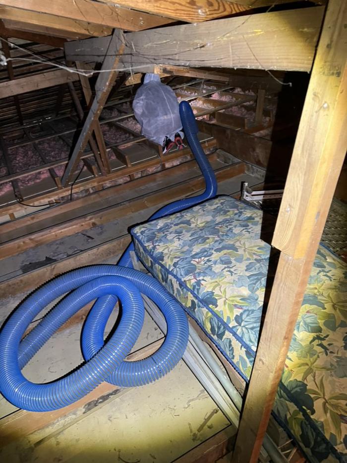 D&B Rodent Proofing - Palo Alto, CA