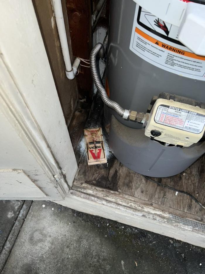 D&B Rodent Proofing - Palo Alto, CA