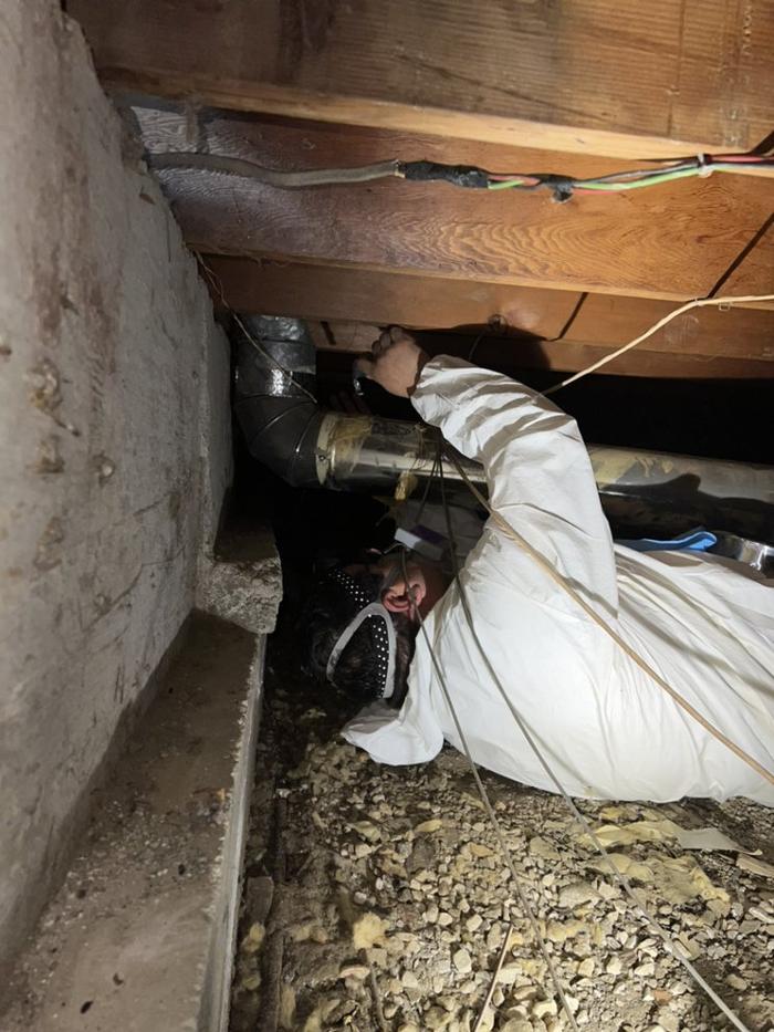 D&B Rodent Proofing - Palo Alto, CA