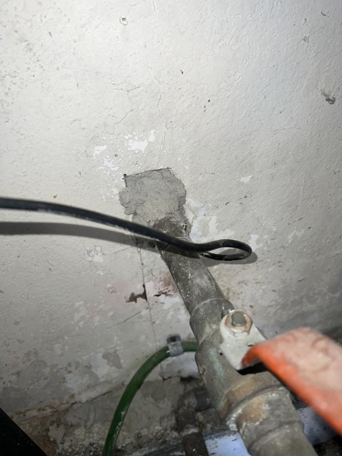 D&B Rodent Proofing - Palo Alto, CA