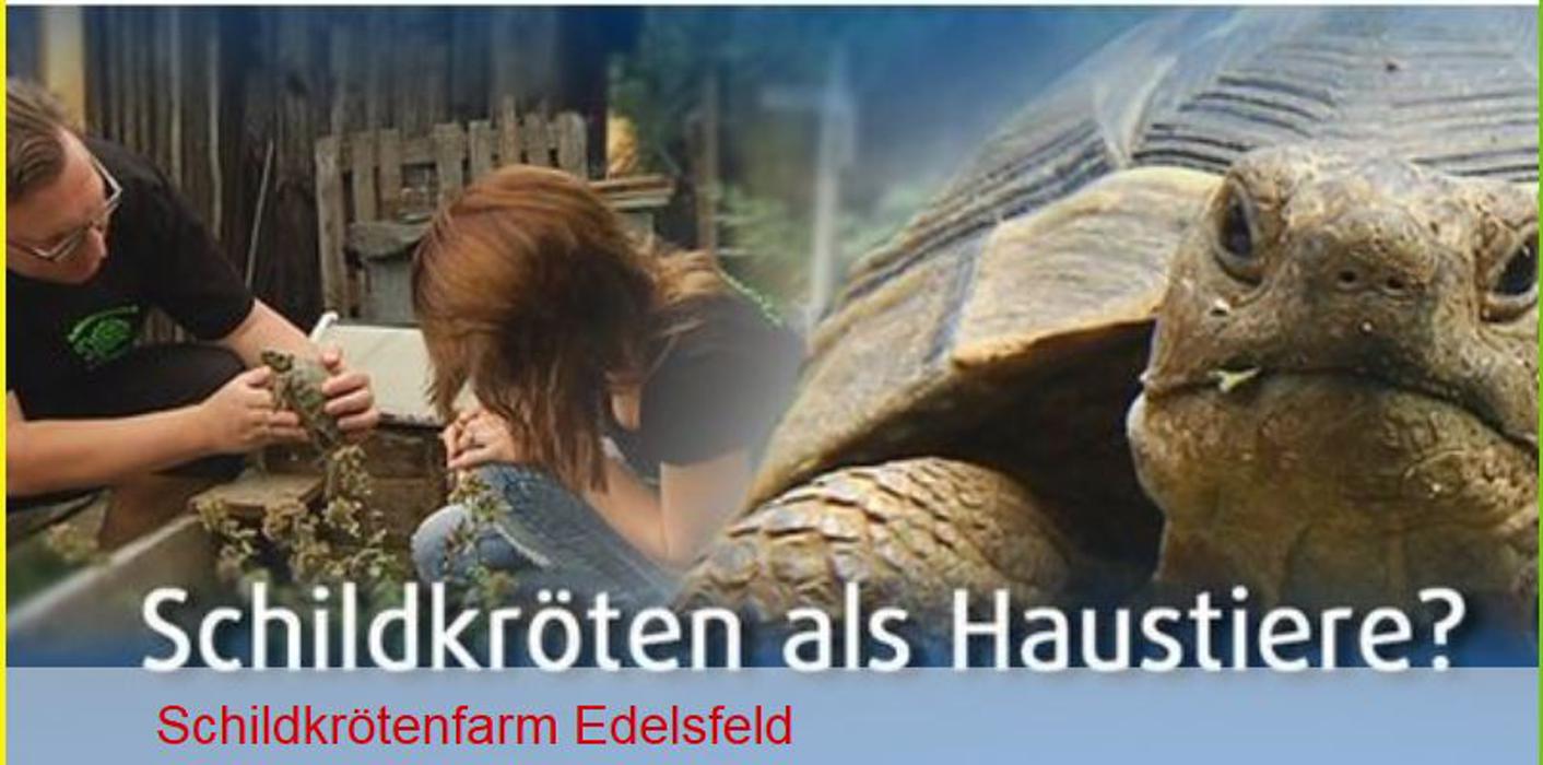 Schildkrötenfarm-Edelsfeld