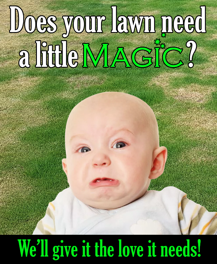 Magic Lawn & Pest - Pleasant Grove, UT