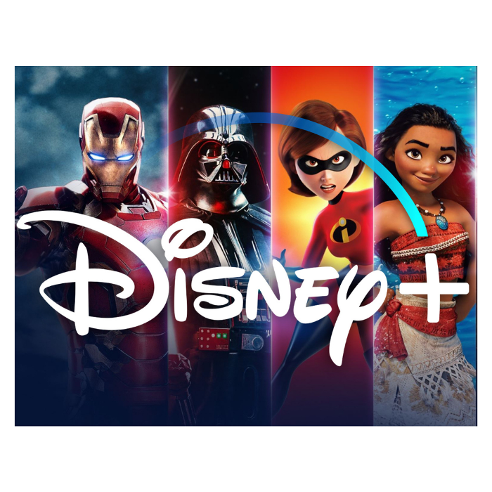 Sai Computers - Floral Park, NY